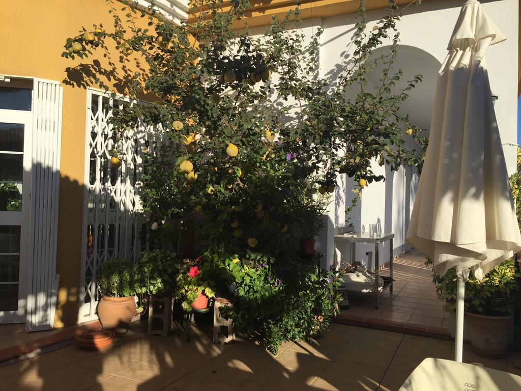 Hotel Arco Del Sol كولمينار المظهر الخارجي الصورة
